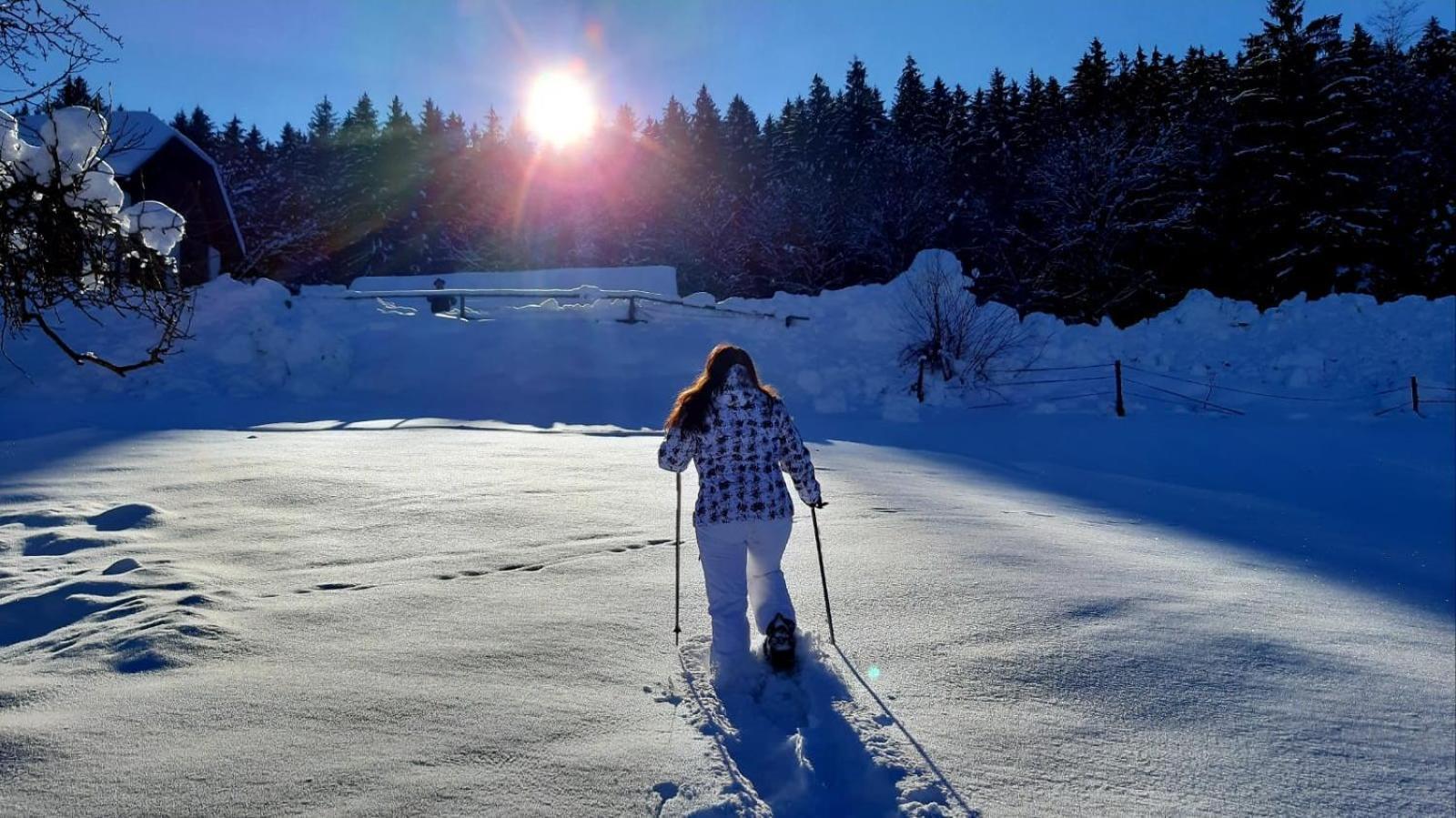 Kantor Village Am Millstaetter See - Boutique-Chalets Und Lodges Millstatt Eksteriør bilde